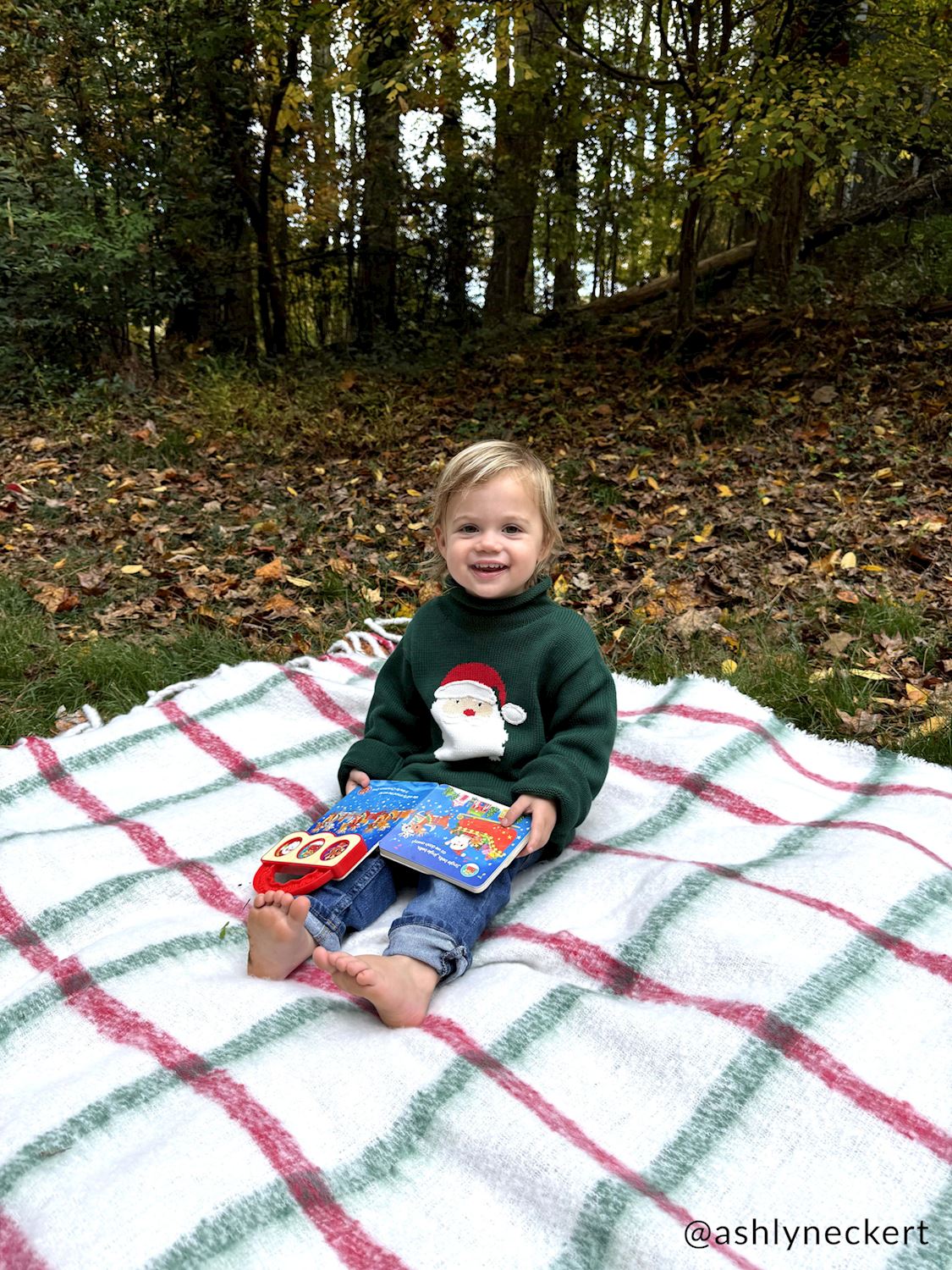 Mudpie | Green Santa Rollneck Sweater