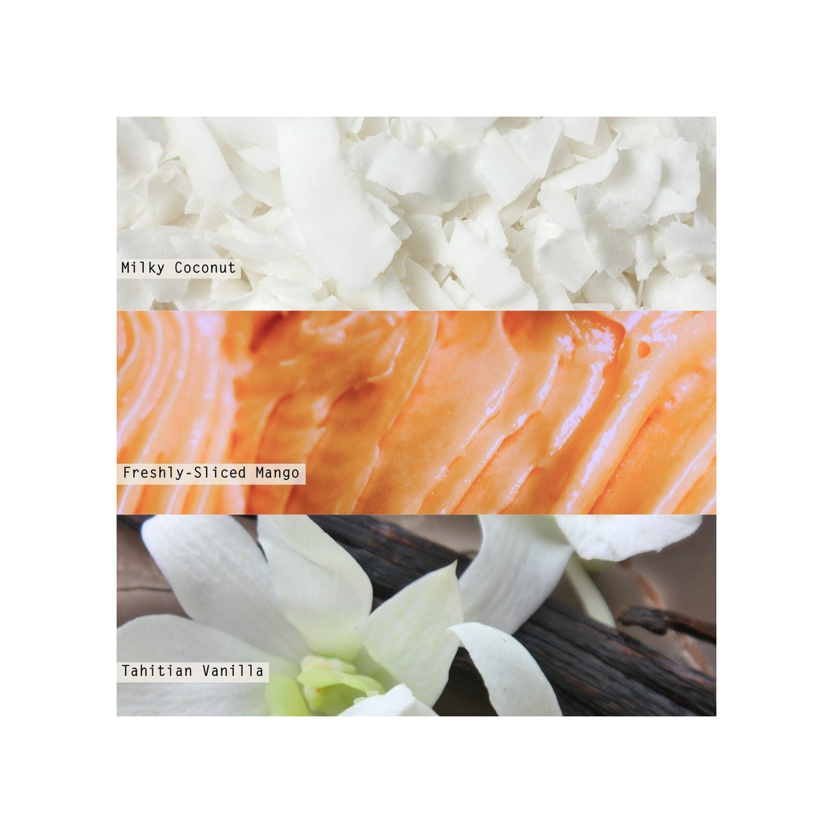 Illume | Coconut Milk Mango Boxed Glass Candle