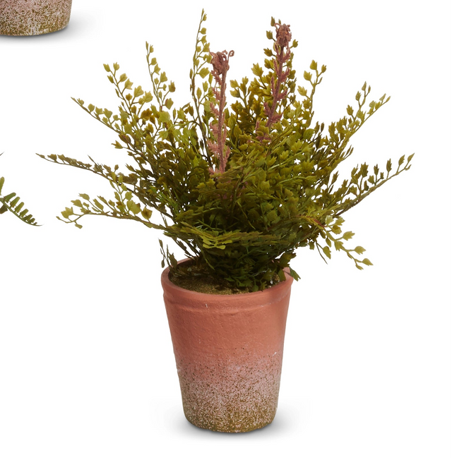 12" Potted Fern