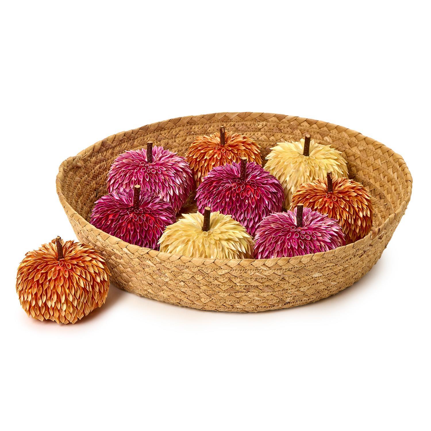 Pumpkin Patch Pumpkin Decor