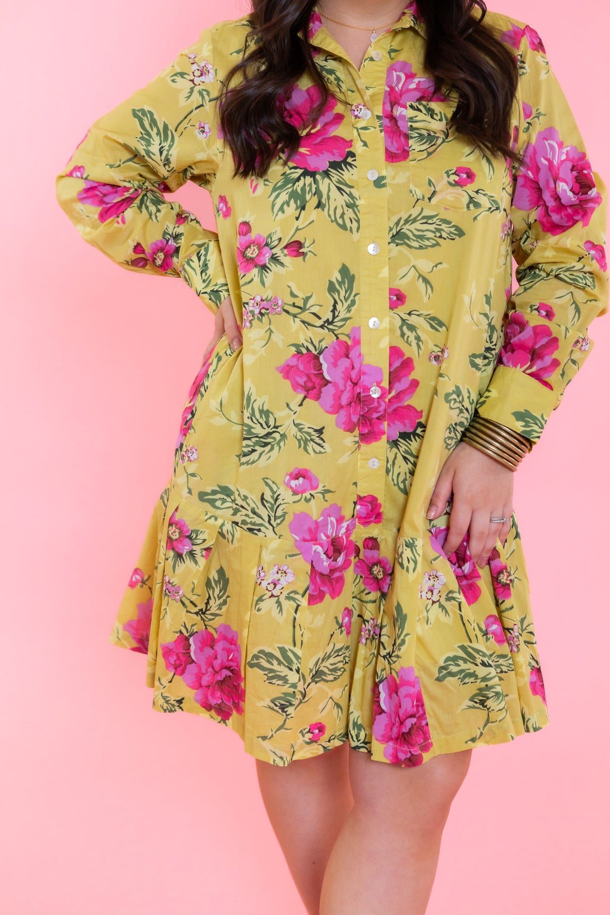 Ivy Jane | Roses Pleated Shirtdress
