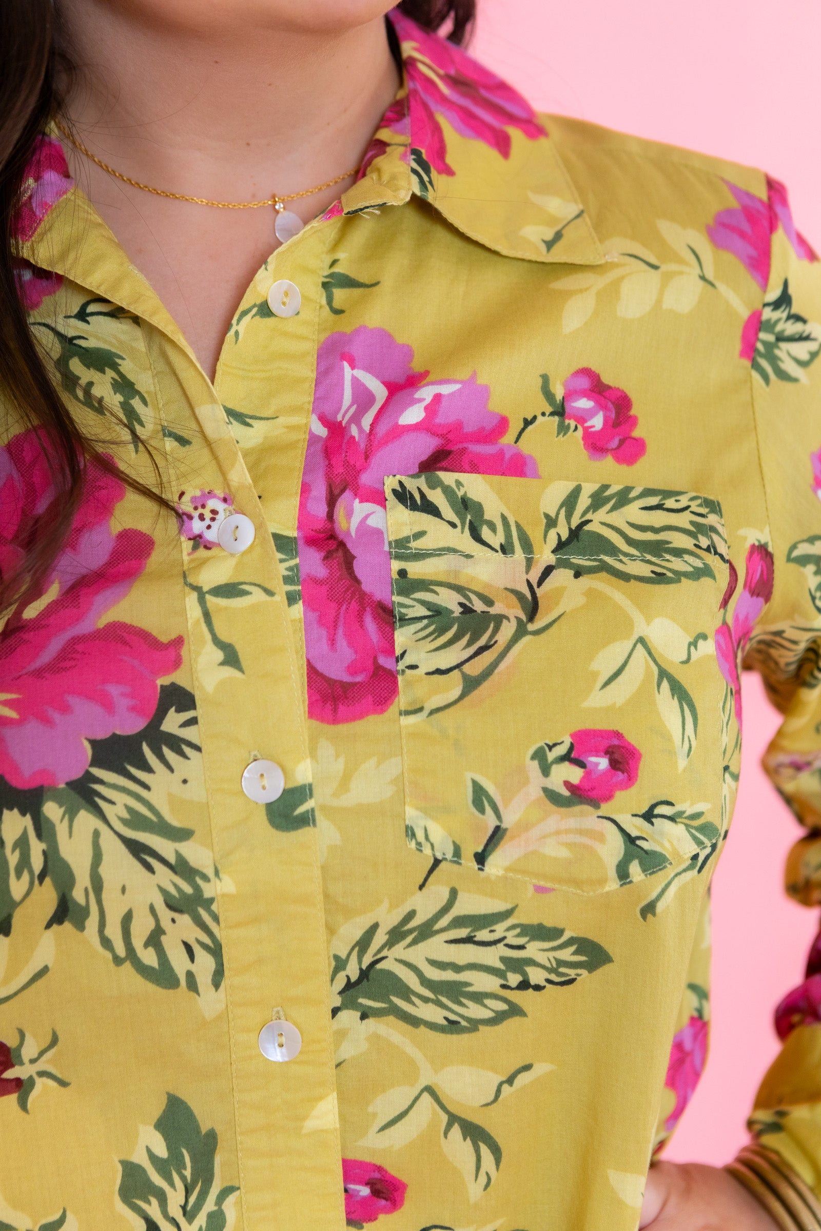 Ivy Jane | Roses Pleated Shirtdress