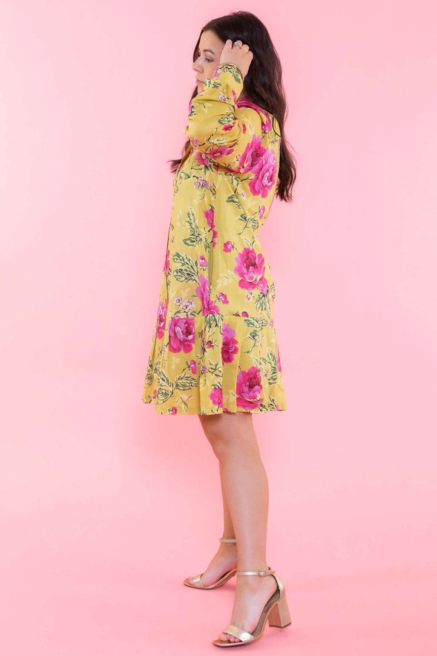 Ivy Jane | Roses Pleated Shirtdress