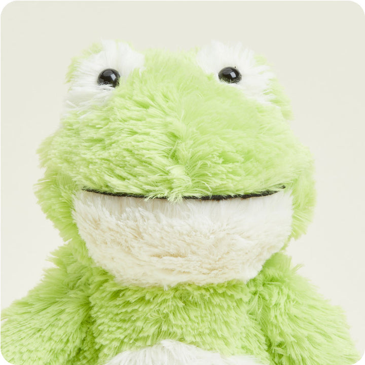 Warmies | Frog