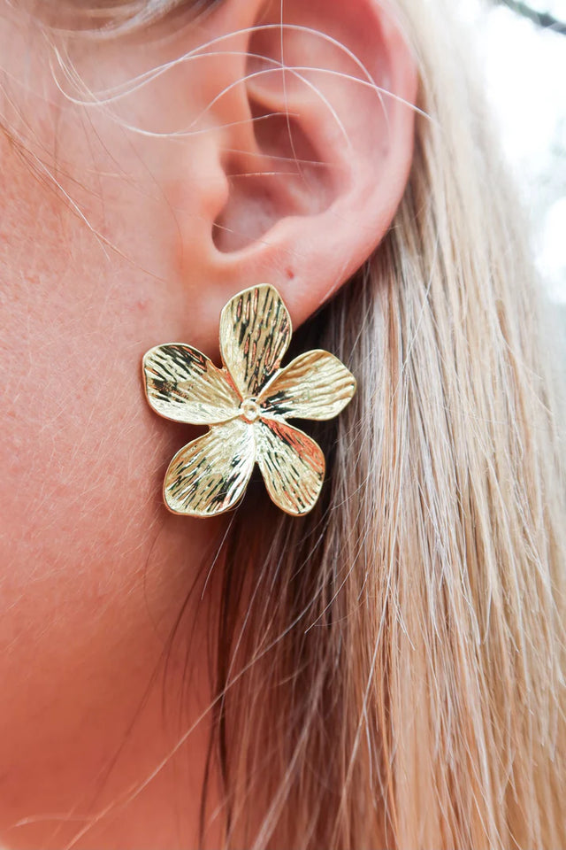 Sheila Fajl | Mallorca Studs