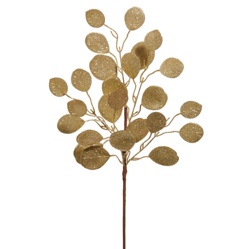 24" Gold Eucalyptus Spray