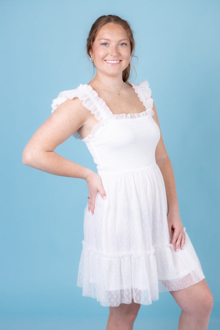 The Winston Mini Dress