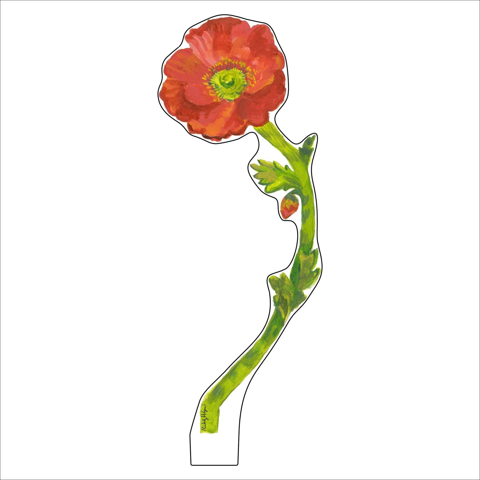 Kimberly Hodges Art | Red Iceland Poppy Large Acrylic Flower