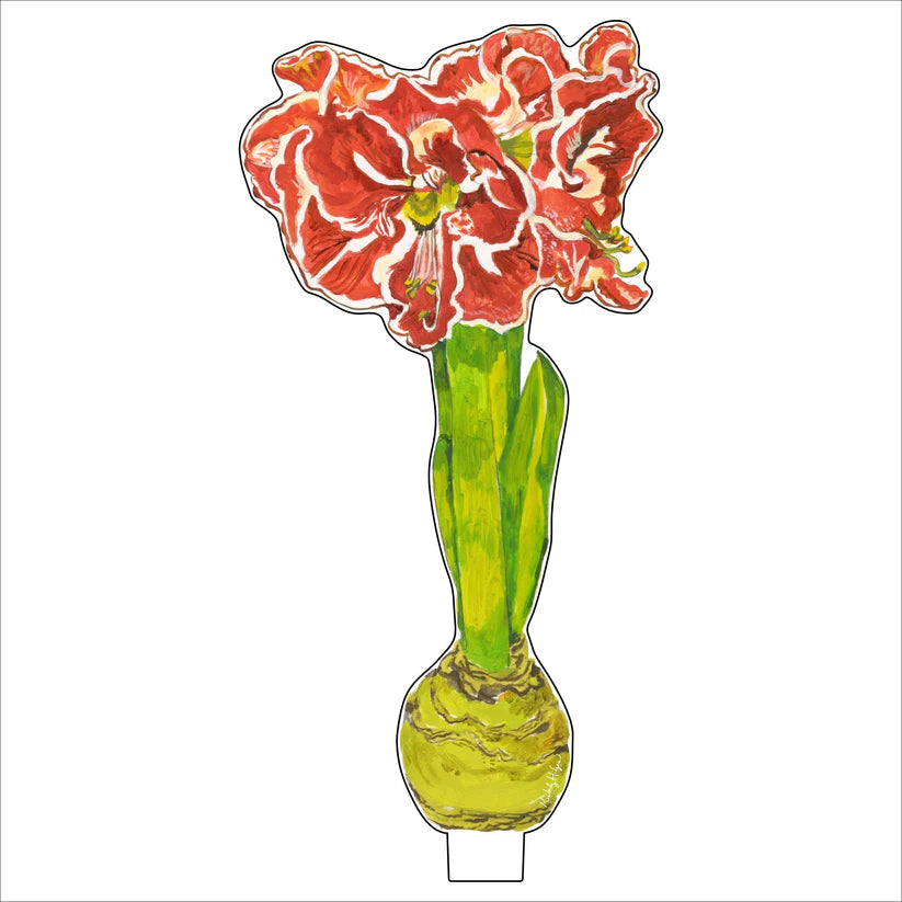 Kimberly Hodges Art | Ruffle Amaryllis Small Acrylic