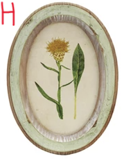 Wood Framed Glass Wall Décor with Flower