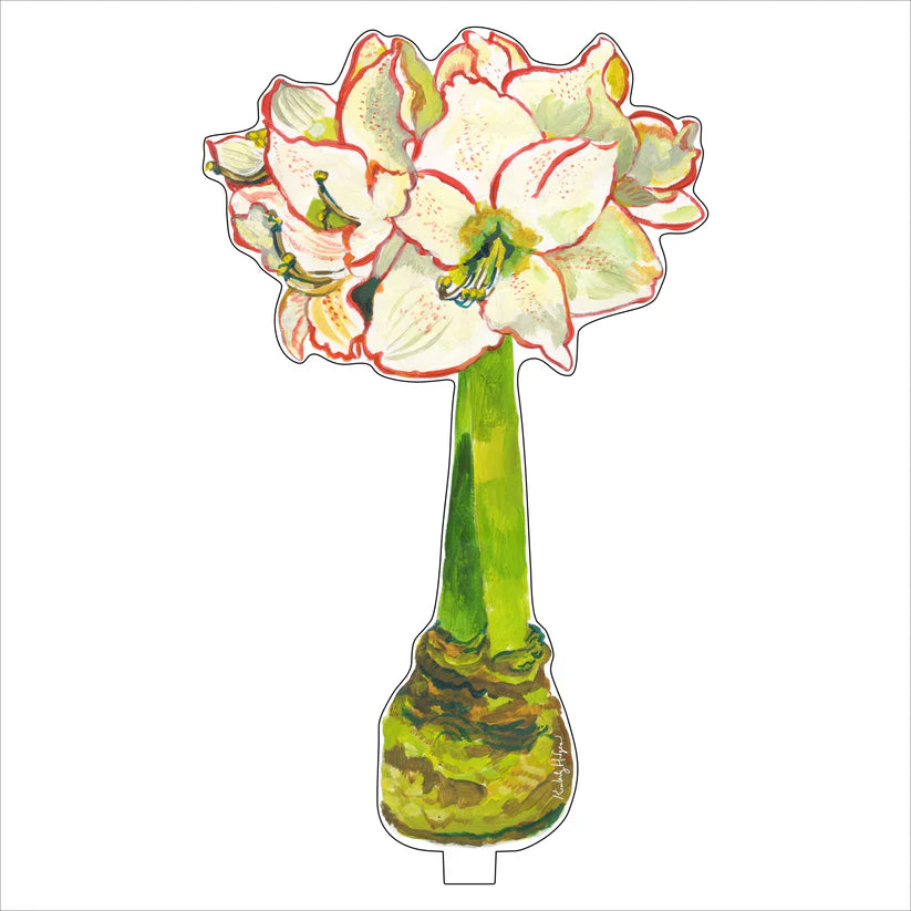 Kimberly Hodges Art | White Amaryllis Large Acrylic