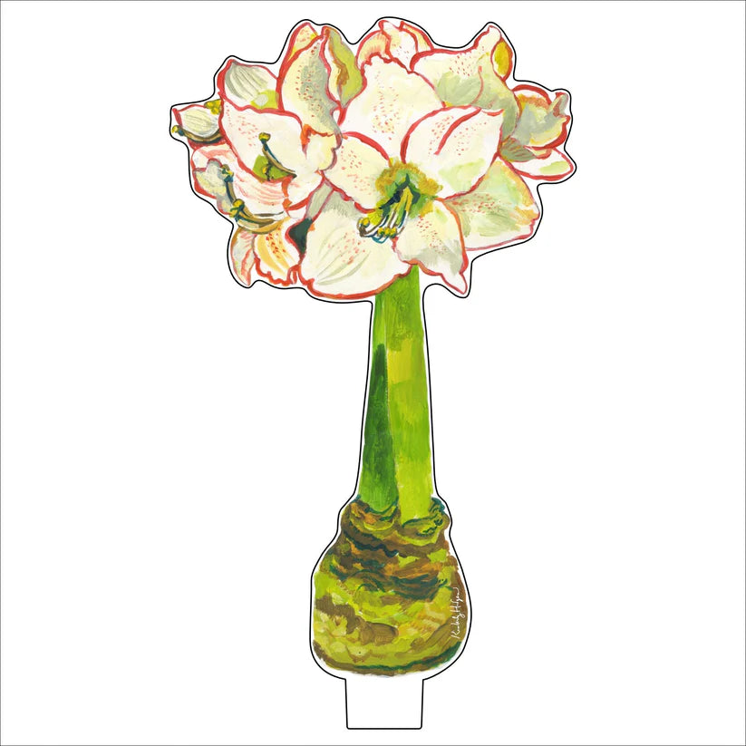 Kimberly Hodges Art | White Amaryllis Small Acrylic