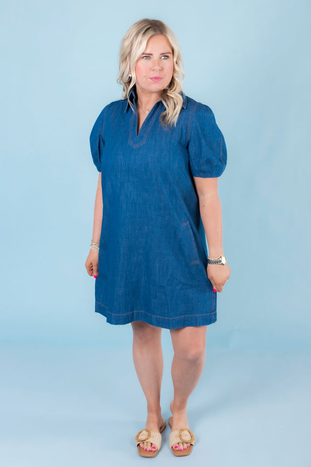The Ditzy Denim Mini Dress