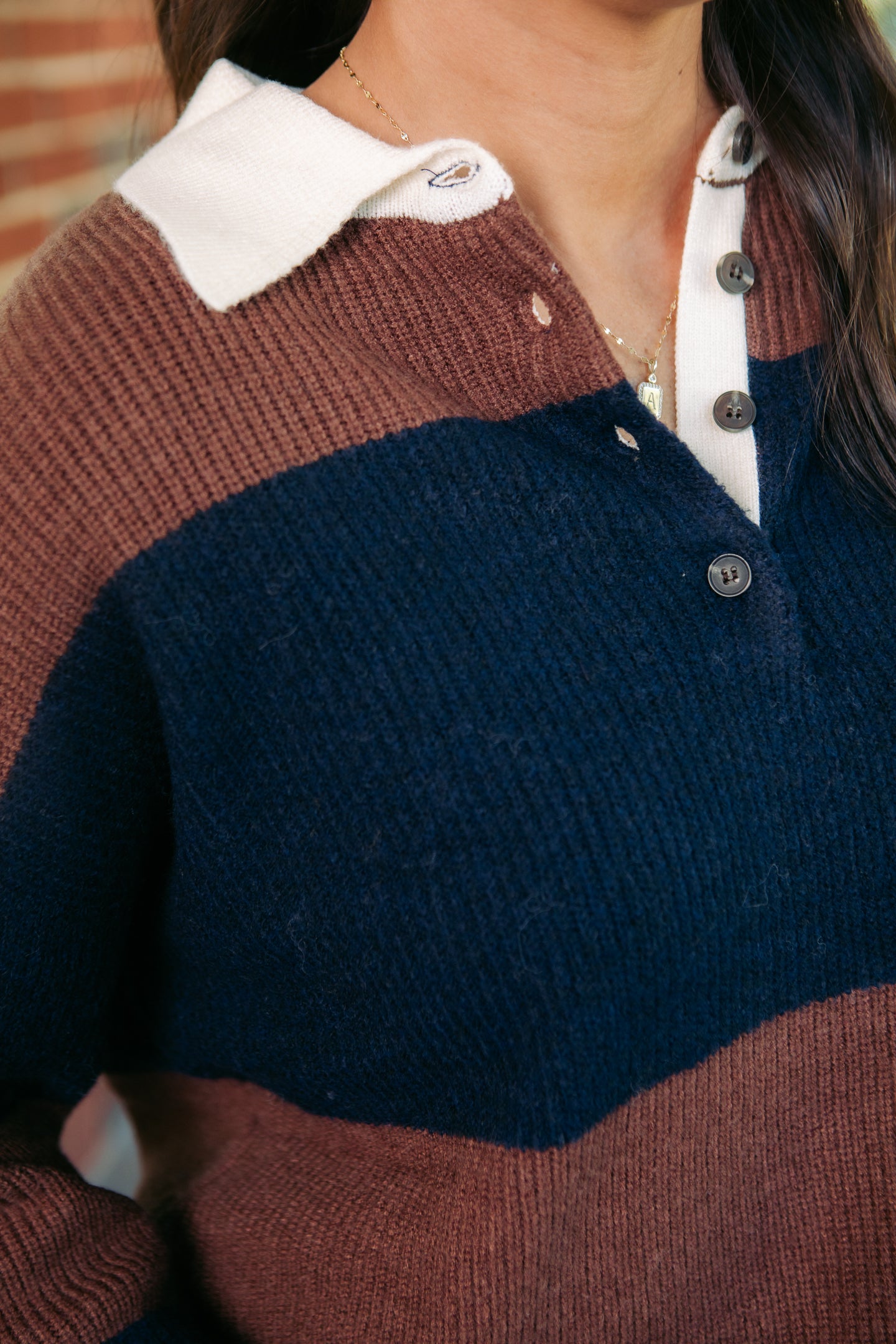The Polo Sweater