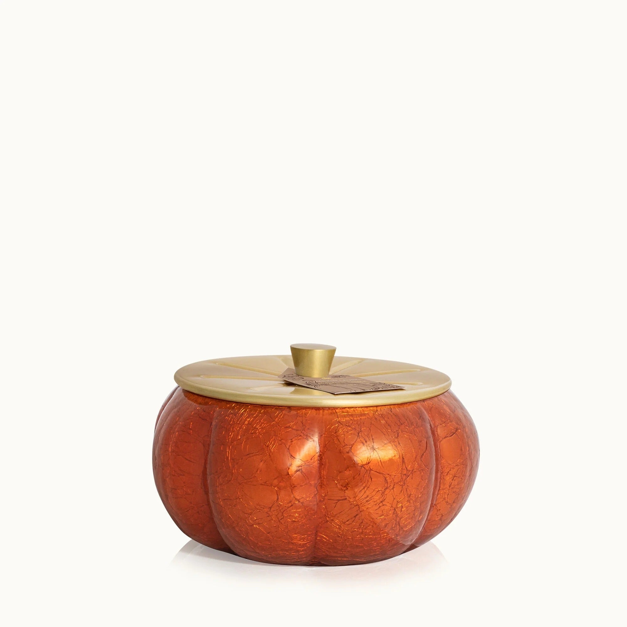 Thymes | Pumpkin Laurel Statement Large Candle