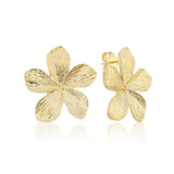 Sheila Fajl | Mallorca Studs