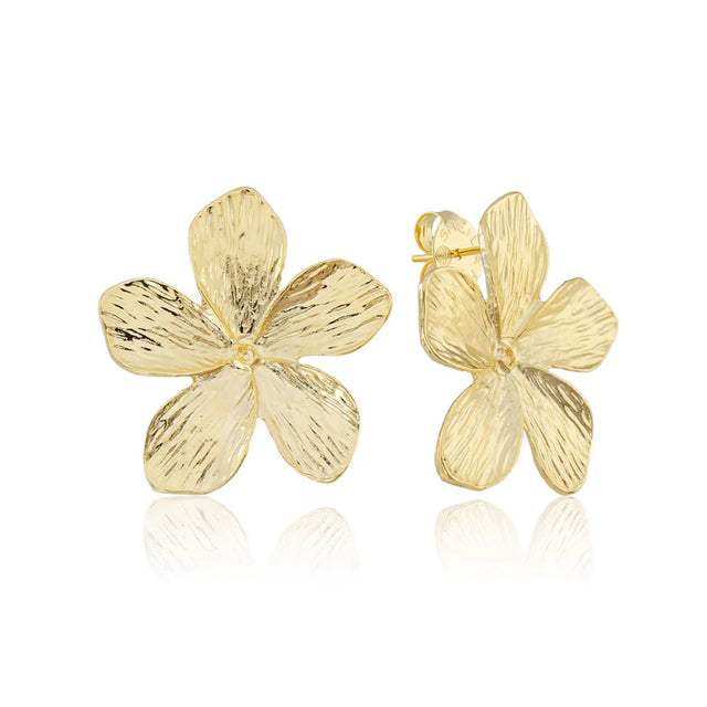 Sheila Fajl | Mallorca Studs