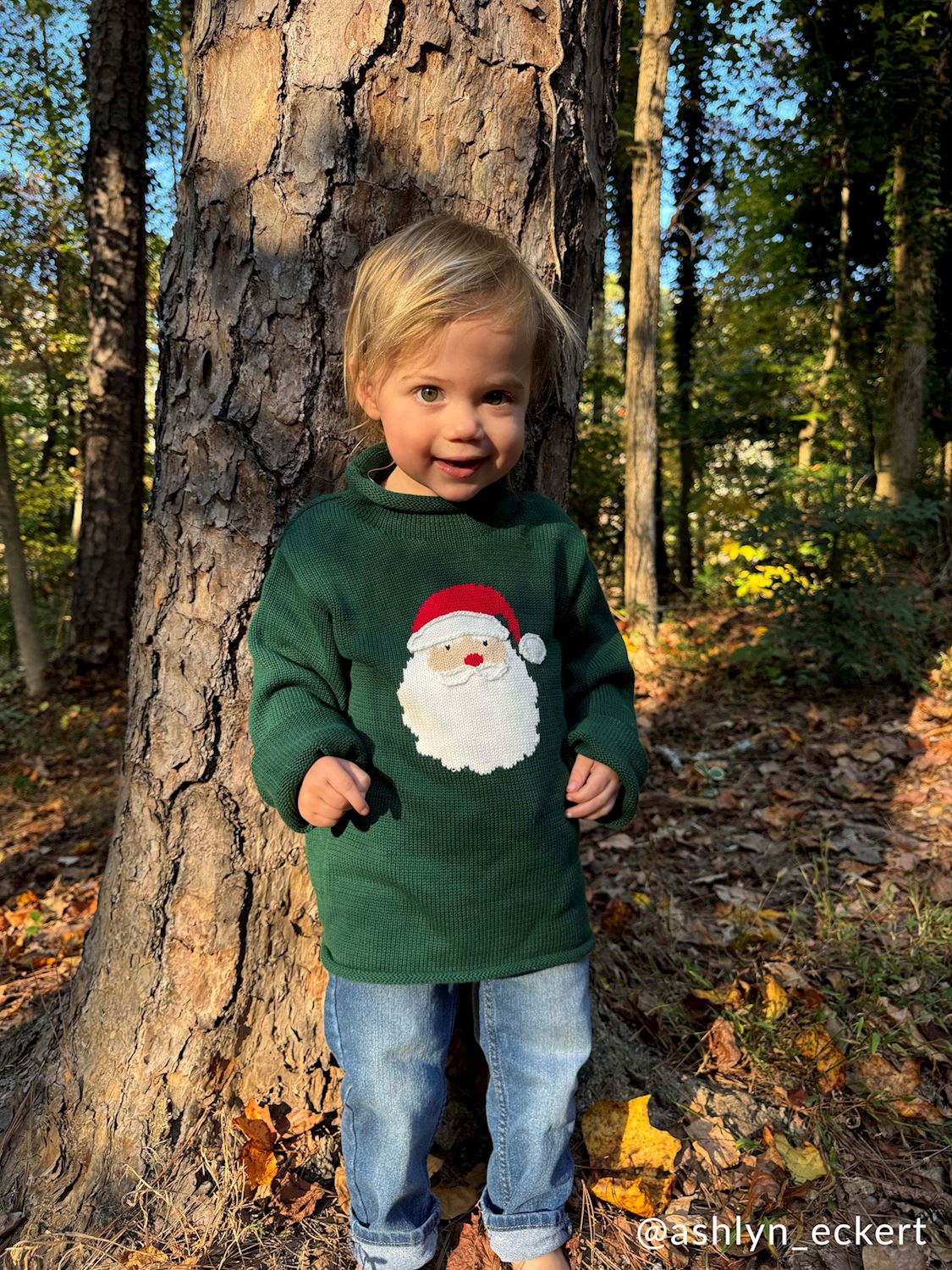 Mudpie | Green Santa Rollneck Sweater