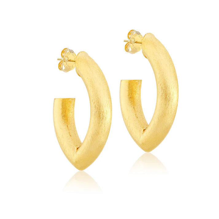 Sheila Fajl | Stare Hoops