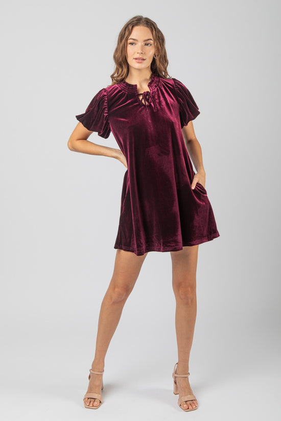 Velvet Dreams Mini Dress