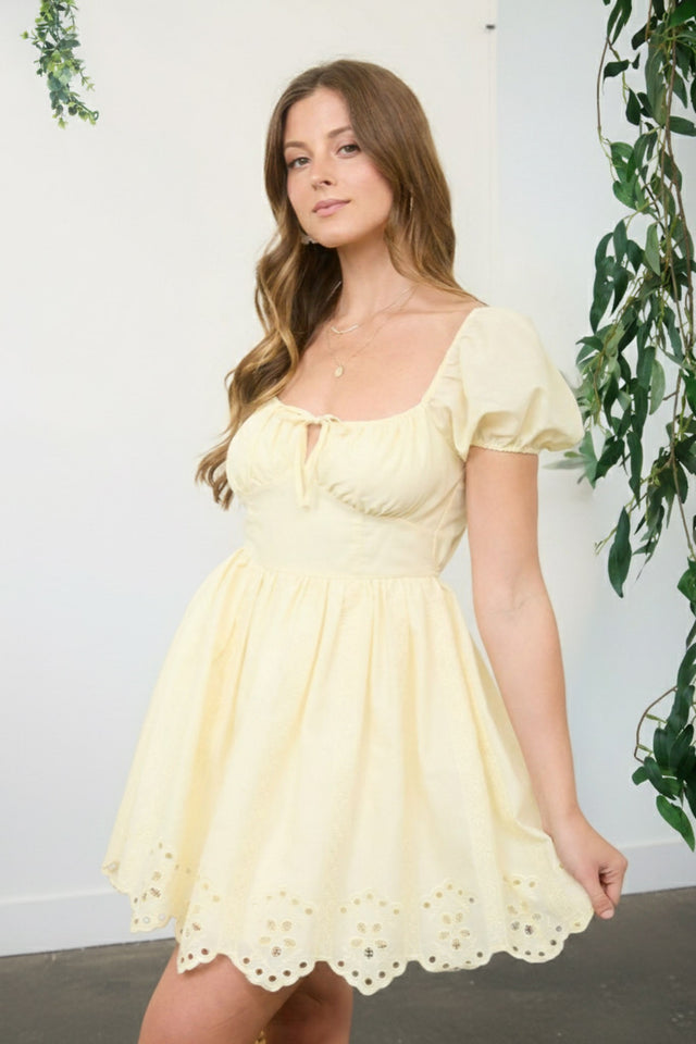 The Bliss Embroidered Mini Dress