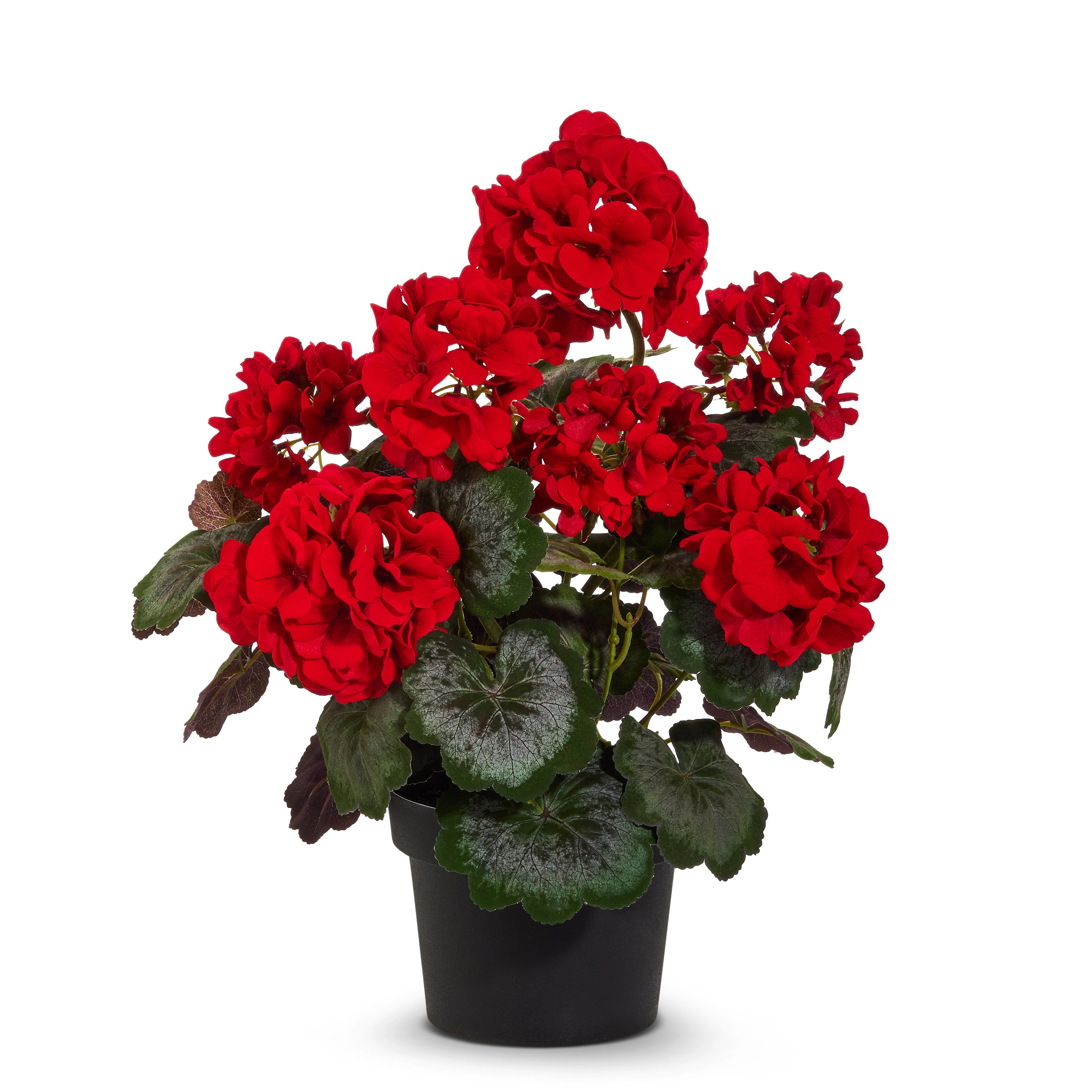 18" Potted Red Geranium
