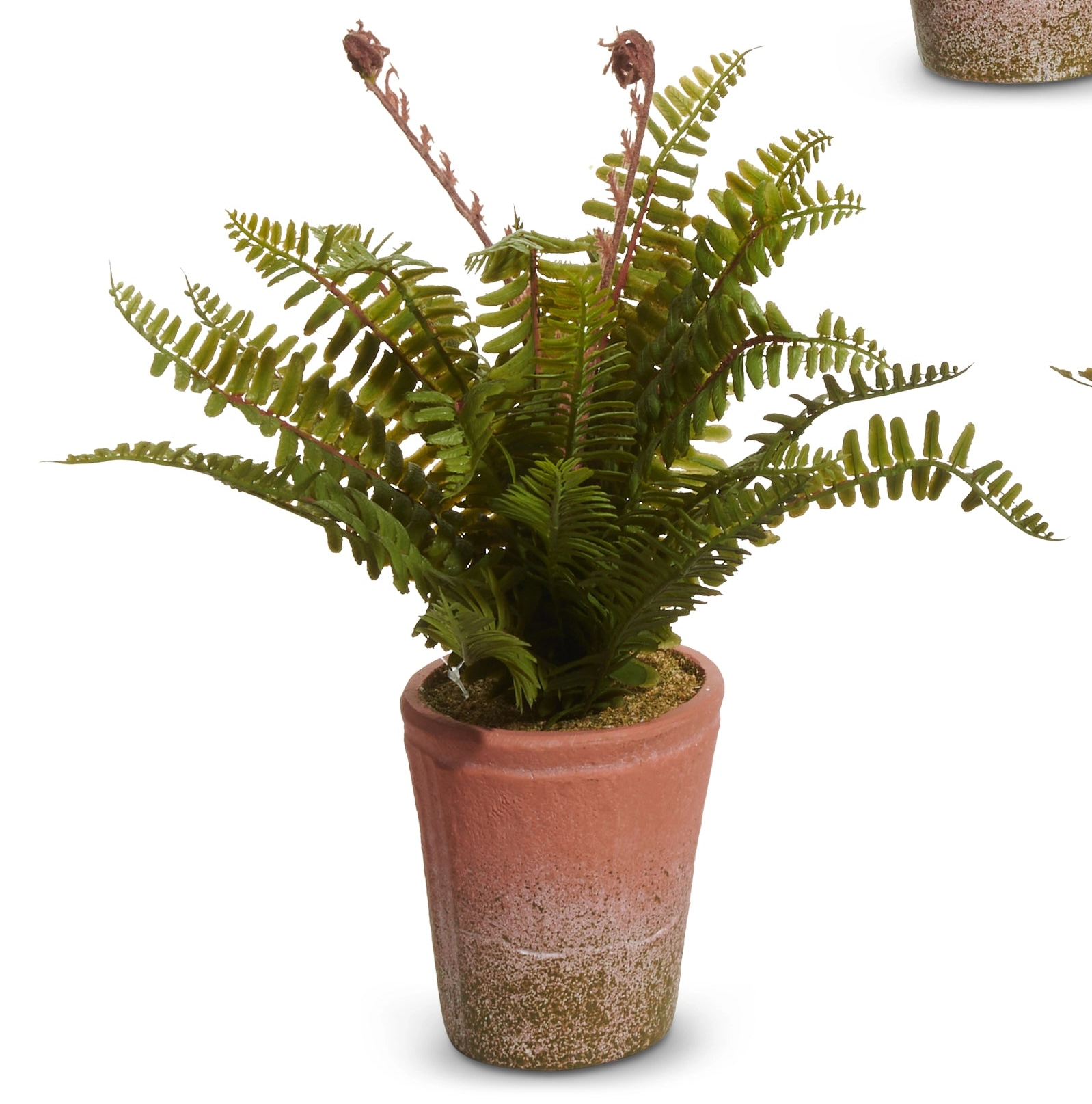 12" Potted Fern