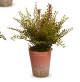 12" Potted Fern