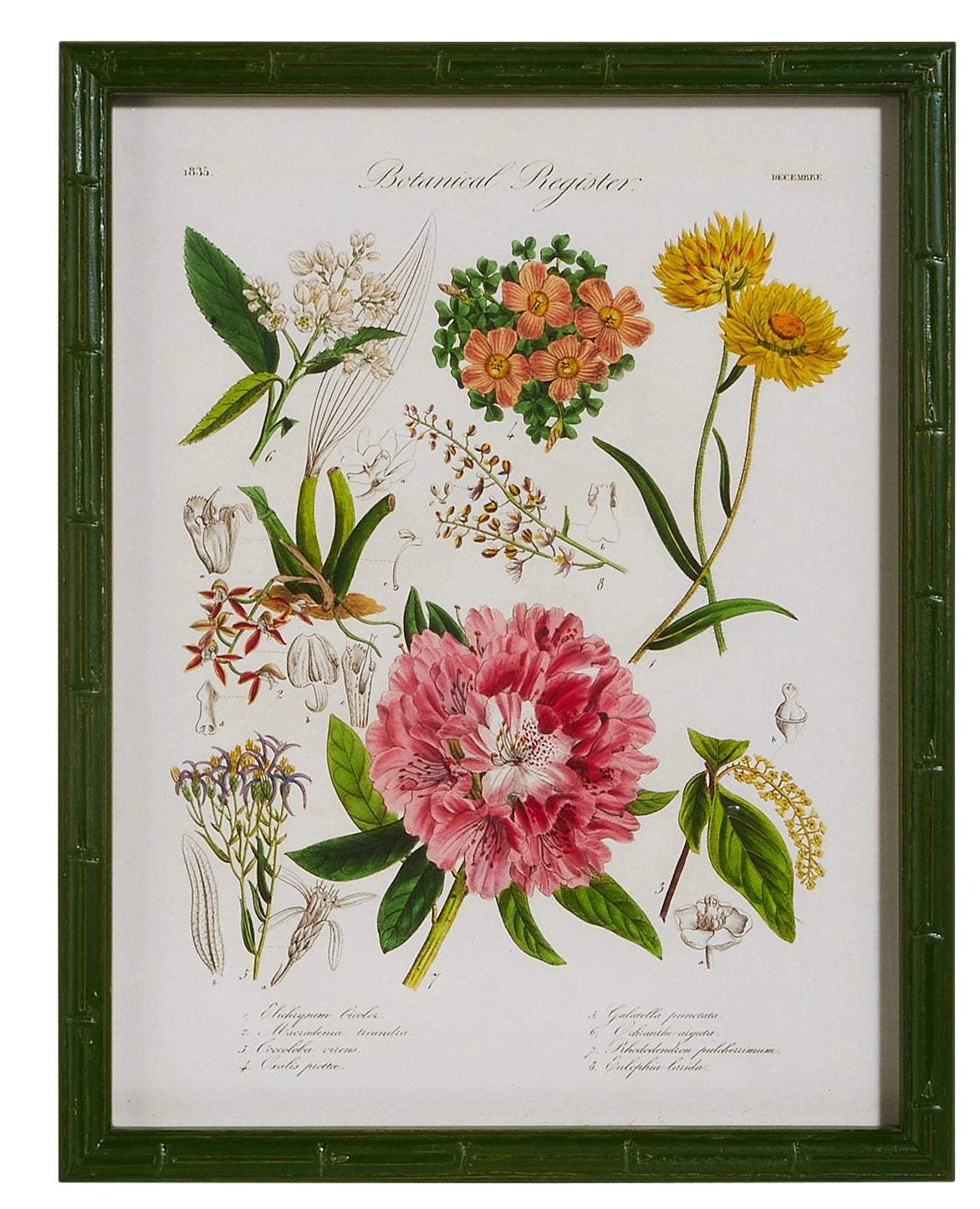 16" Floral Framed Wall Art