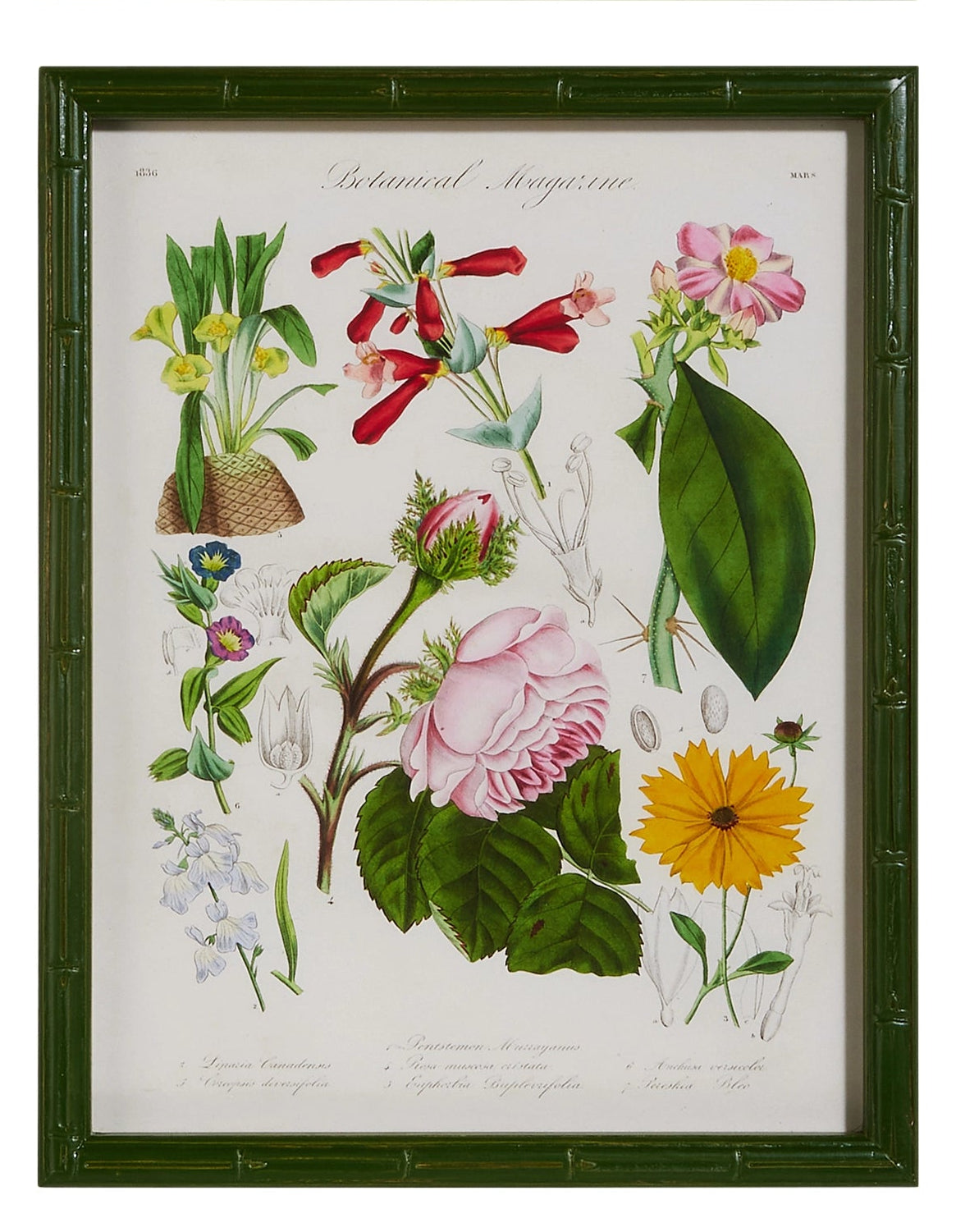 16" Floral Framed Wall Art