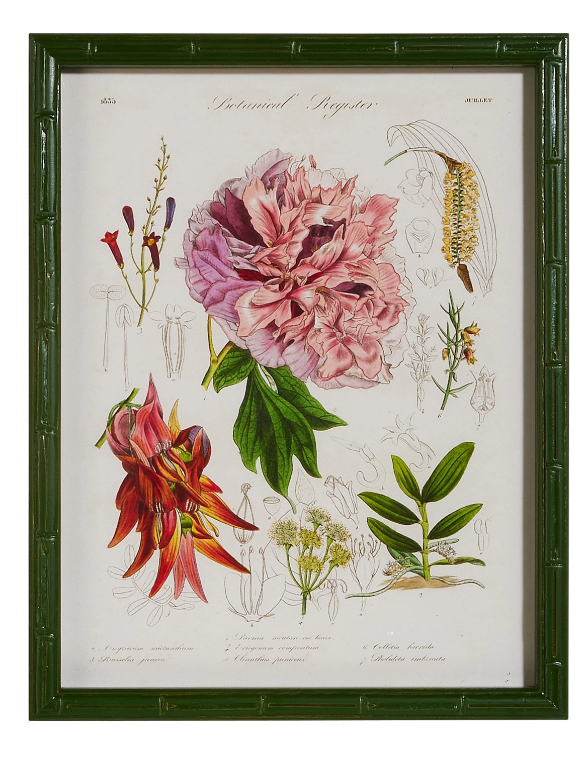16" Floral Framed Wall Art