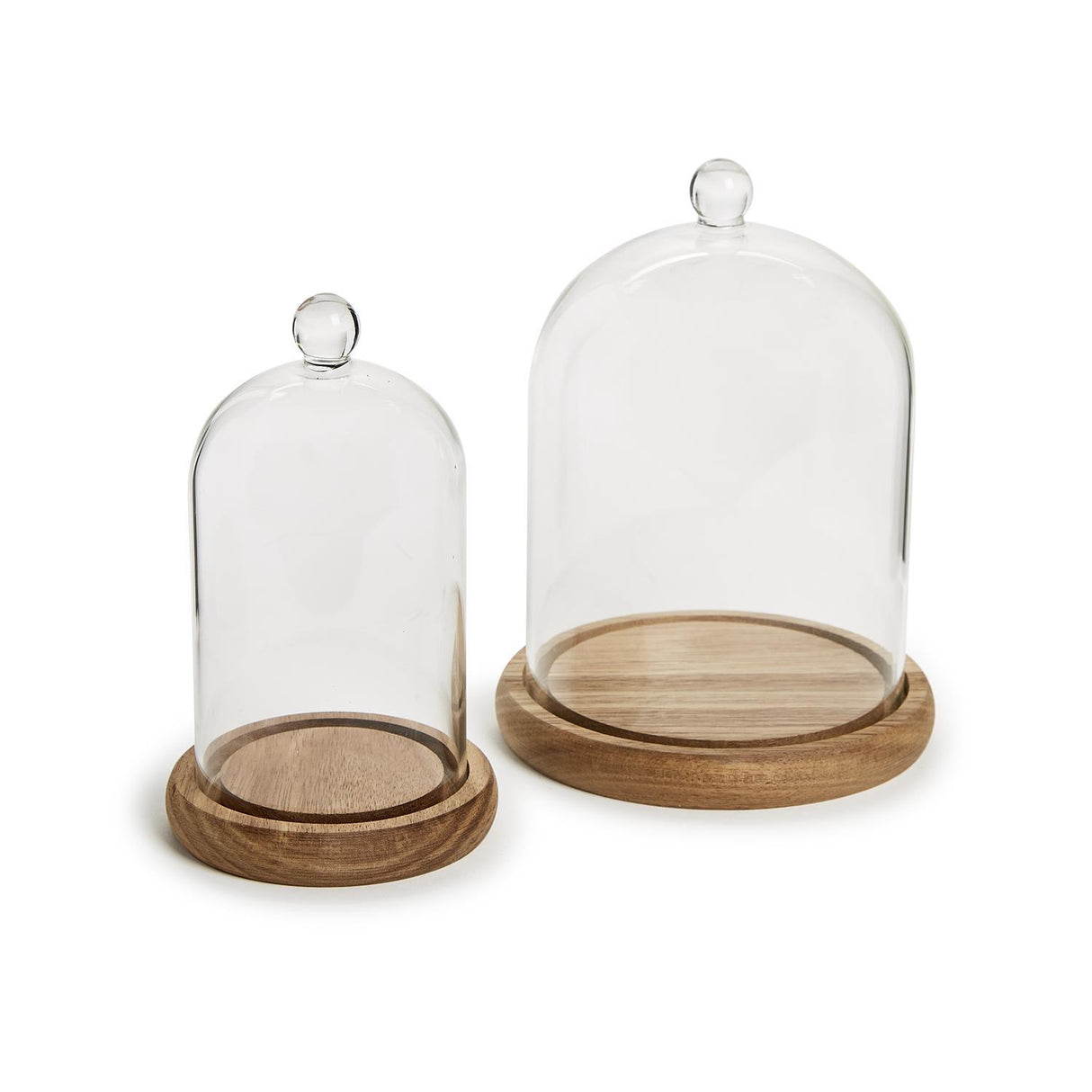 Two's Company | Cloche with Ball Handle and Wood Base