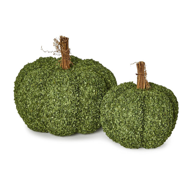 Preserved Natural Buckwheat Husk Pumpkins