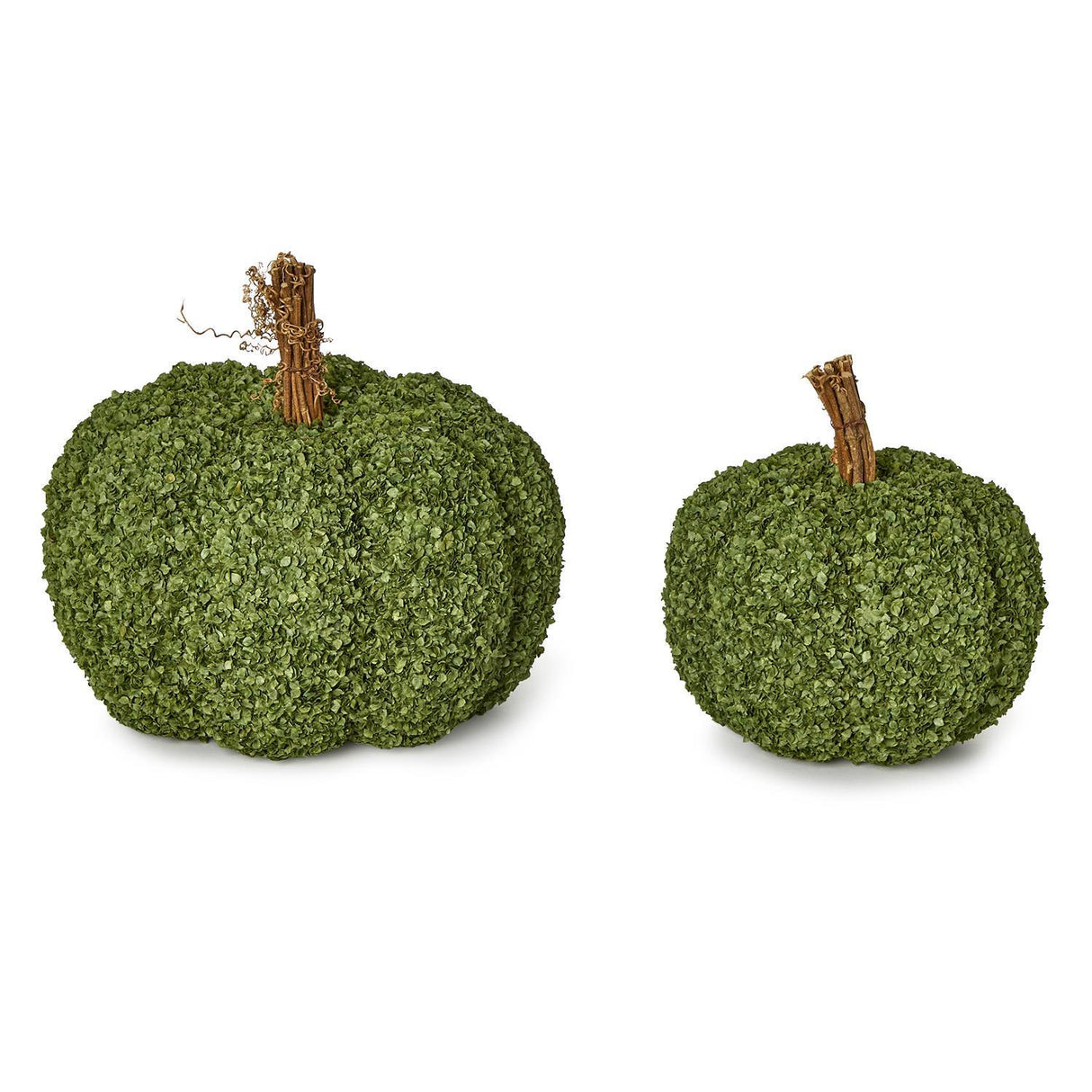 Preserved Natural Buckwheat Husk Pumpkins