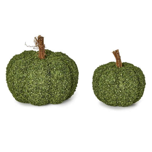 Preserved Natural Buckwheat Husk Pumpkins