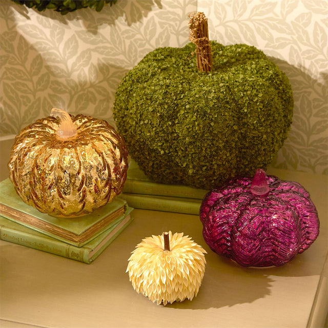 Preserved Natural Buckwheat Husk Pumpkins