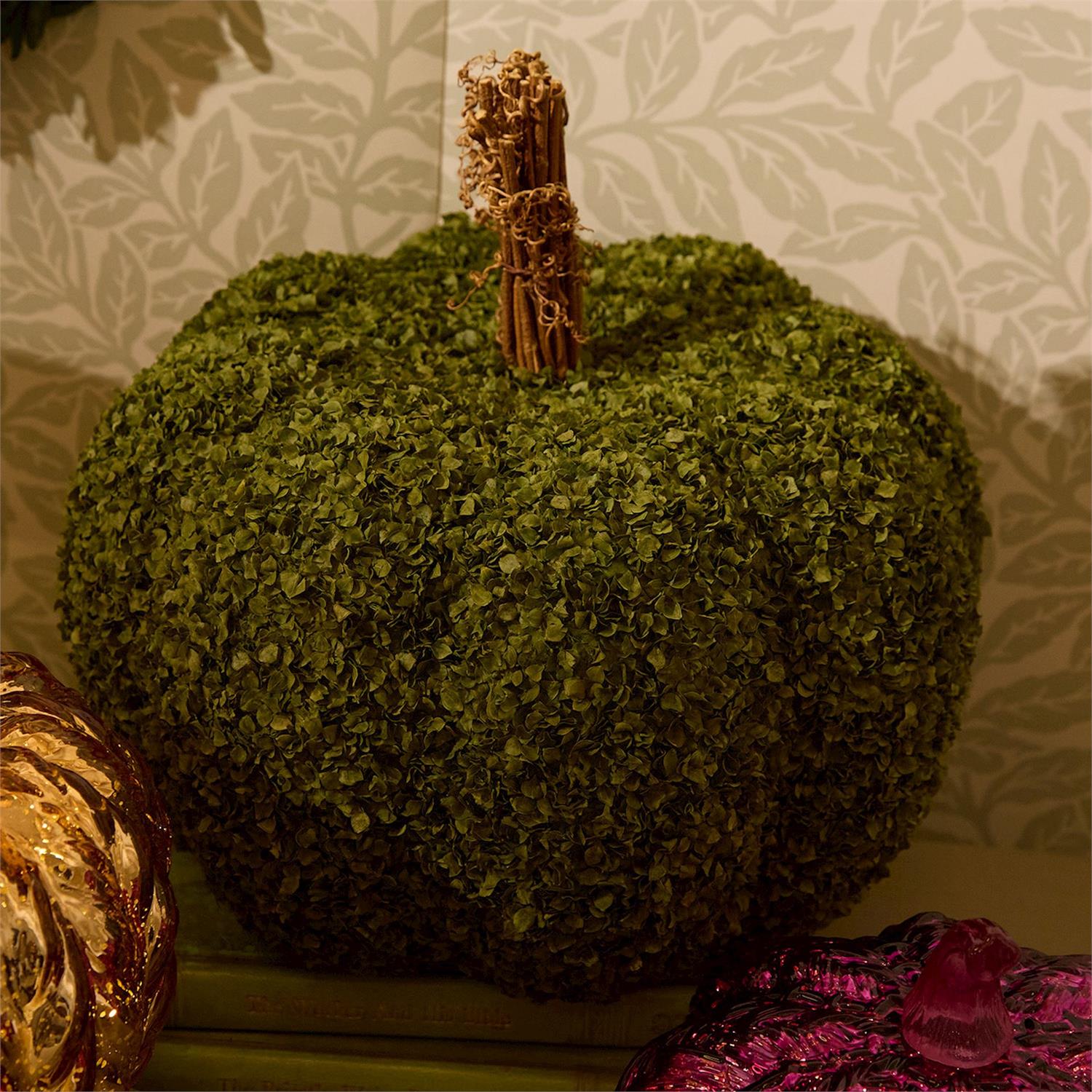 Preserved Natural Buckwheat Husk Pumpkins