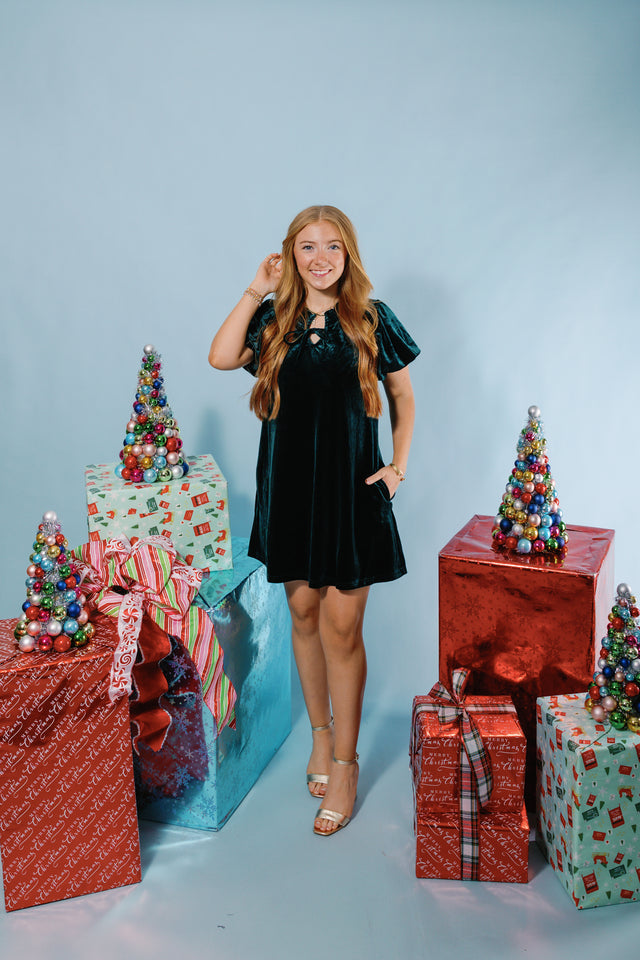 Velvet Dreams Mini Dress (Final Sale)