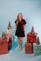 Velvet Dreams Mini Dress (Final Sale)