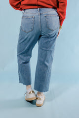 Judy Blue | High Waist Destroy Crop Wide Leg