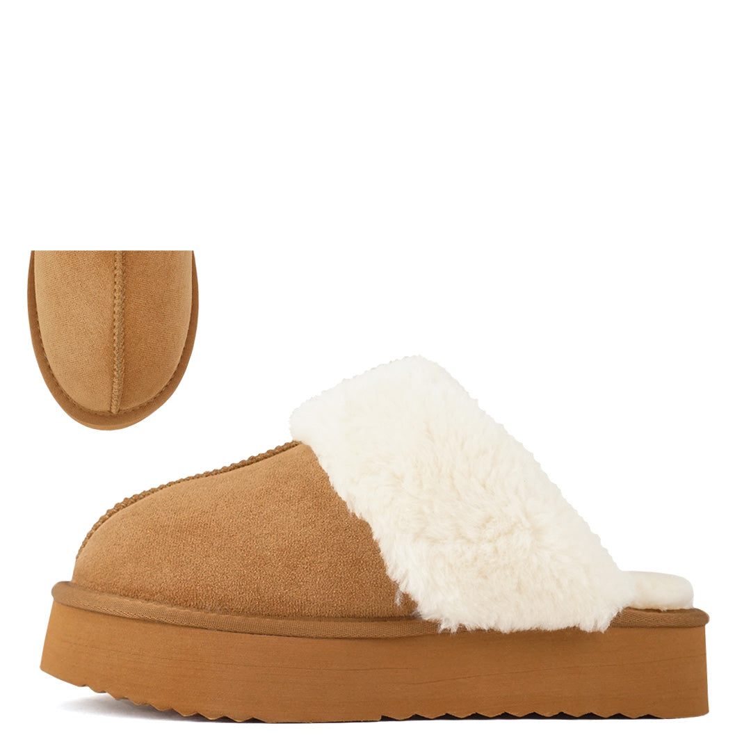 Darwin Slip-ons