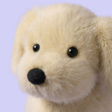Jellycat | Golden Puppy