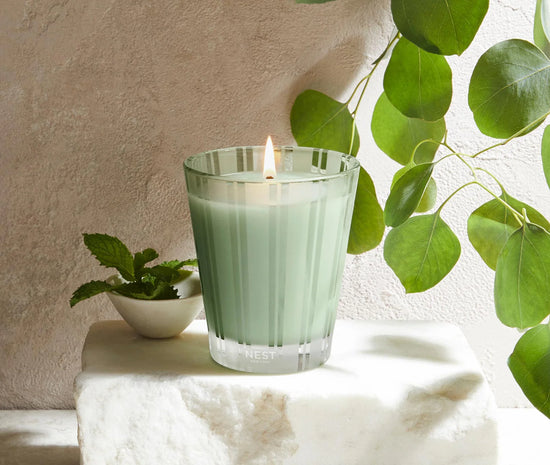 NEST New York | Classic Candle - Wild Mint & Eucalyptus