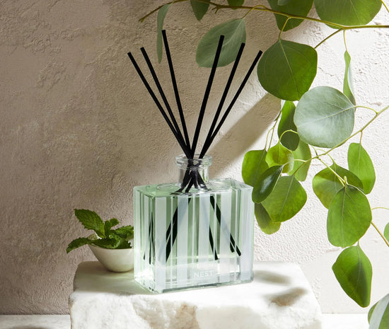 NEST New York | Reed Diffuser - Wild Mint & Eucalyptus