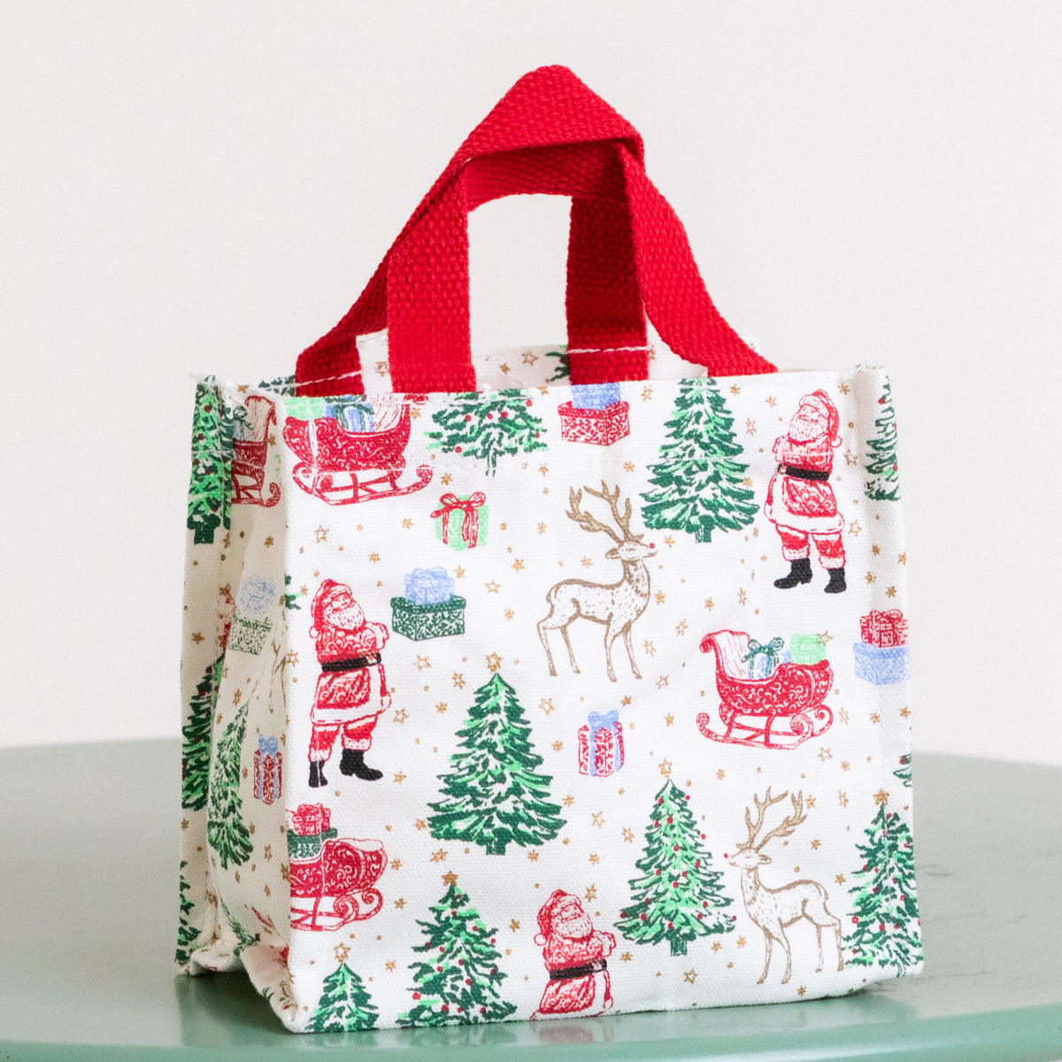 Mary Square | Petite Carry Tote - Tidings & Toile