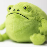 Jellycat | Ricky Rain Frog