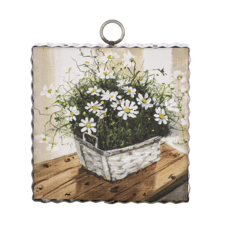 The Round Top Collection | Gallery Cosmos Daisies