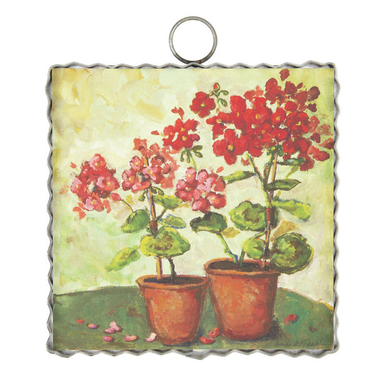 Load image into Gallery viewer, The Round Top Collection | Mini Hamilton Potted Geraniums
