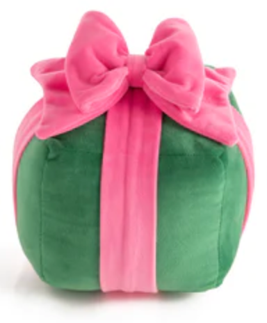 Shiraleah | Gift Package Pillow - Small