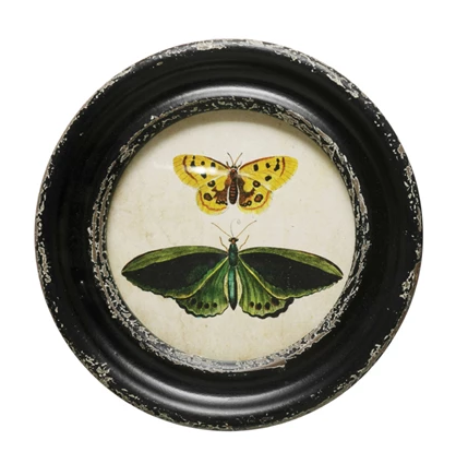 Framed Wall Decor with Moths/Butterflies Image